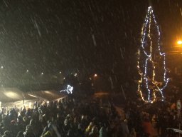 Rozsvícení vánočního stromu 2023